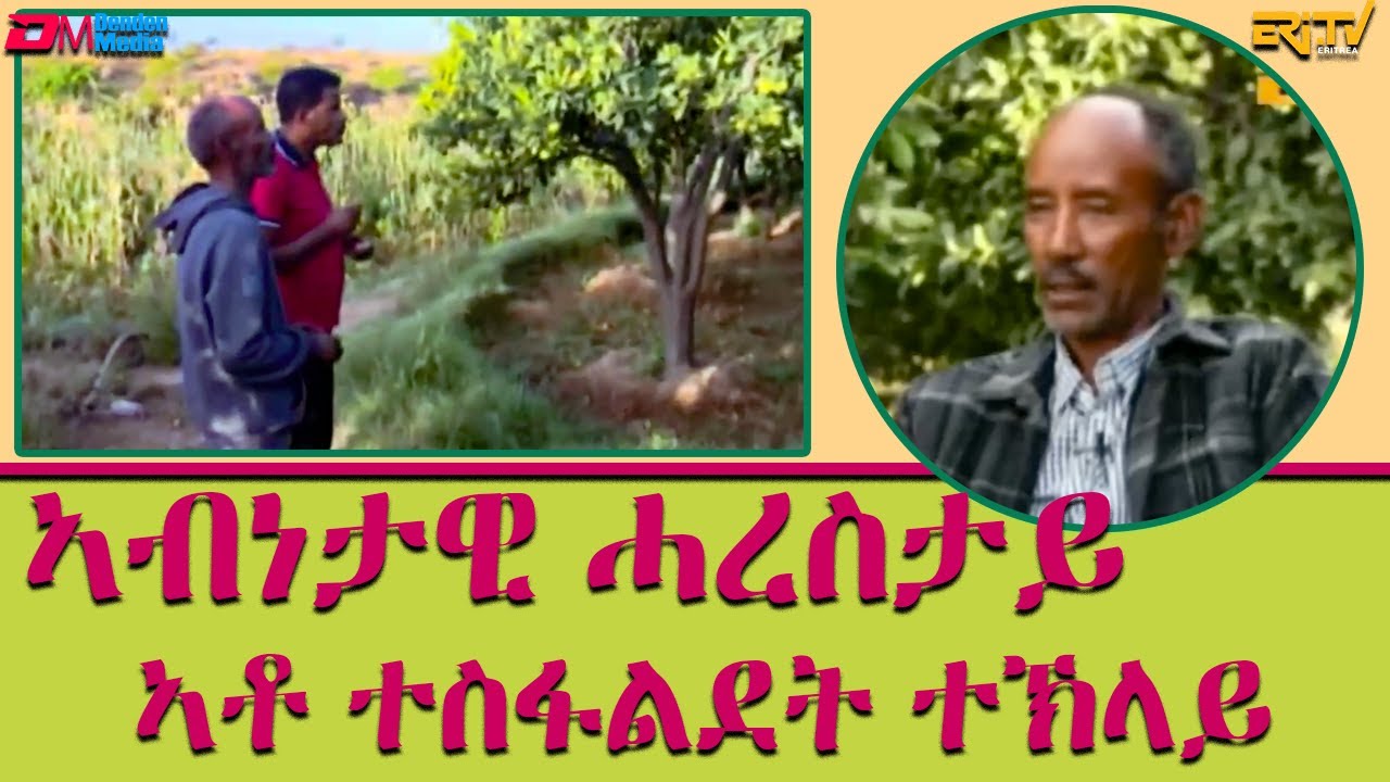 ኣብነታዊ ሓረስታይ - ኣቶ ተስፋልደት ተኽላይ  | ፍረጻዕሪ | Examplary farmer Mr. Tesfalidet Tekali - fere Tsaeri -ERi-TV