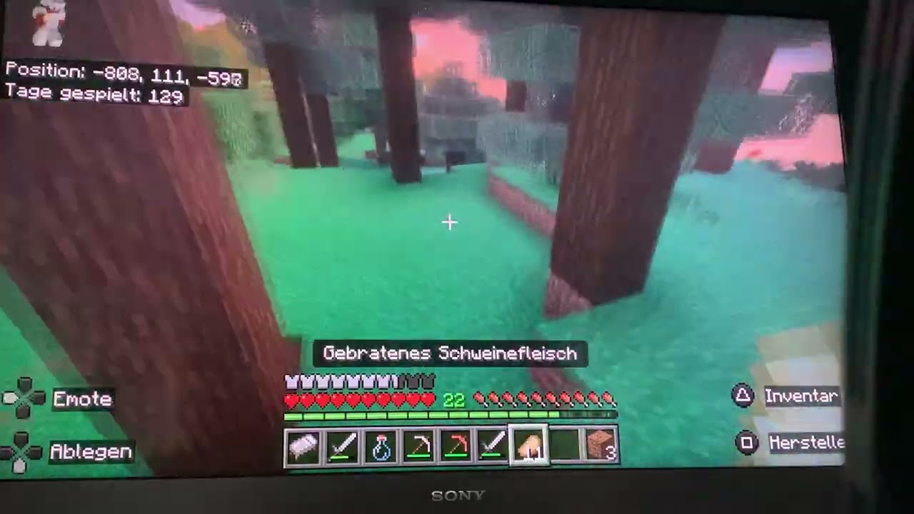 Wir suchen unser Haus|Minecraft