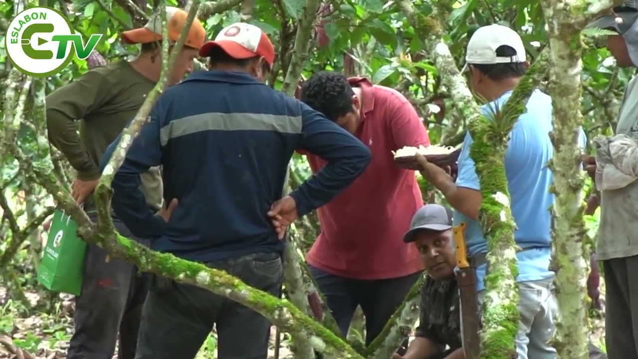Manabí ha perdido cerca de 300 mil cabezas de ganado en los últimos cinco años.