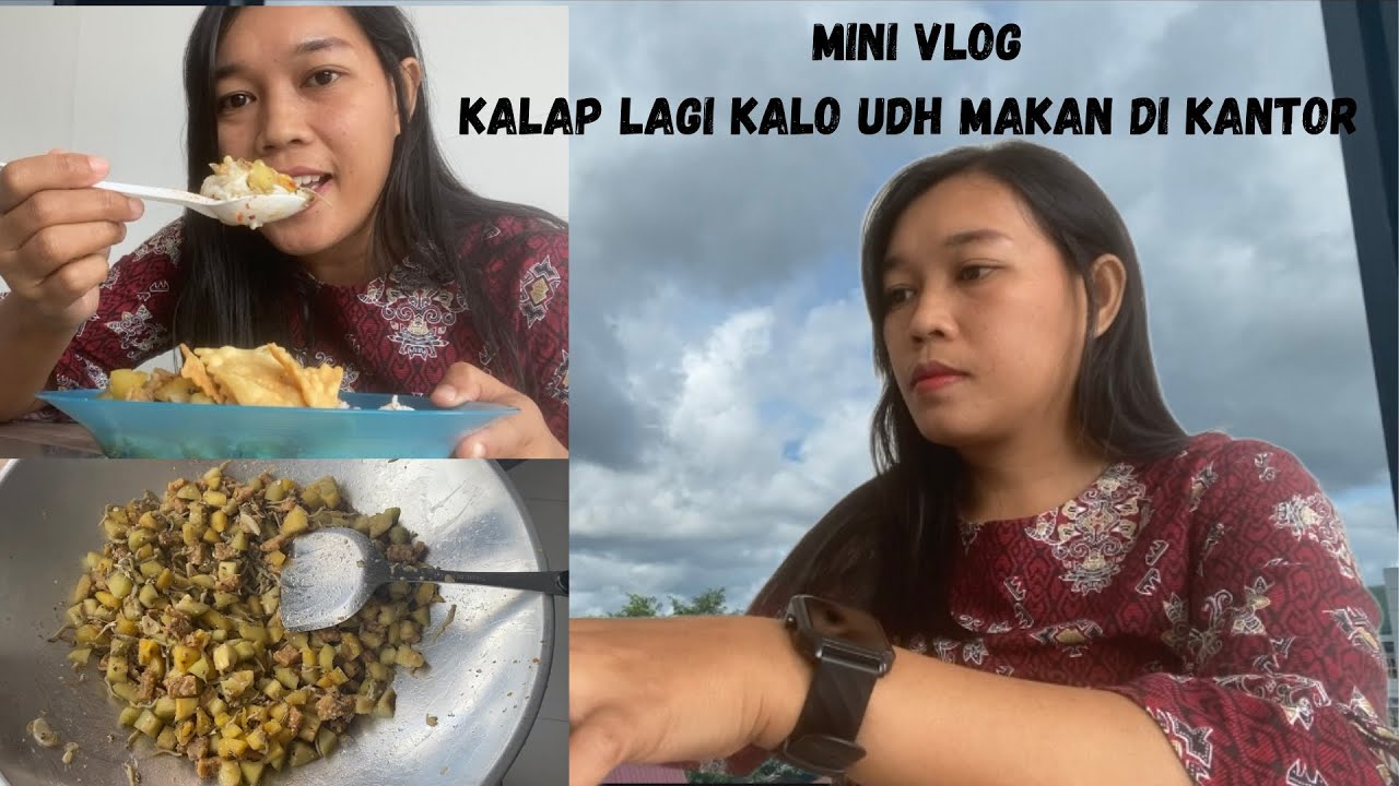 Mini Vlog