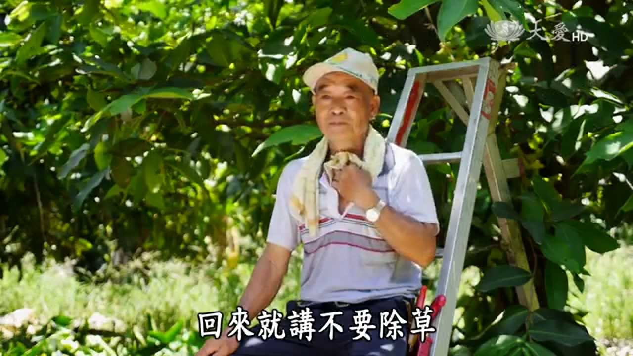 【農夫與他的田】20150810 - 高雄農家媳婦
