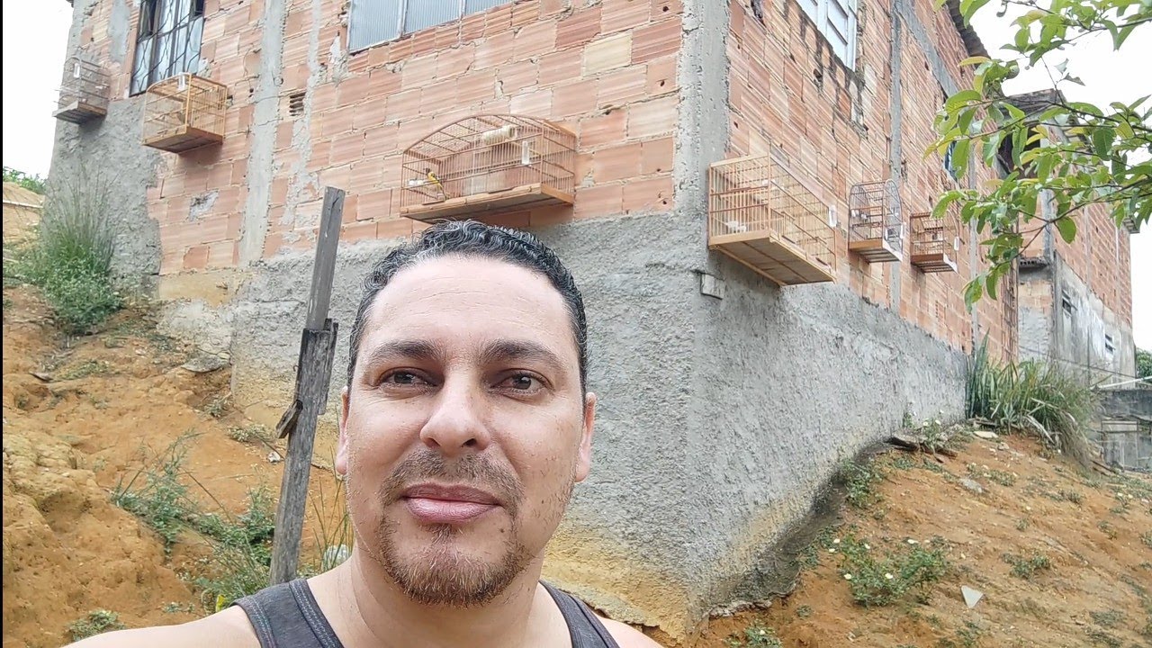 Mostrando meus pássaros na ordem dos que eu mais gosto !!