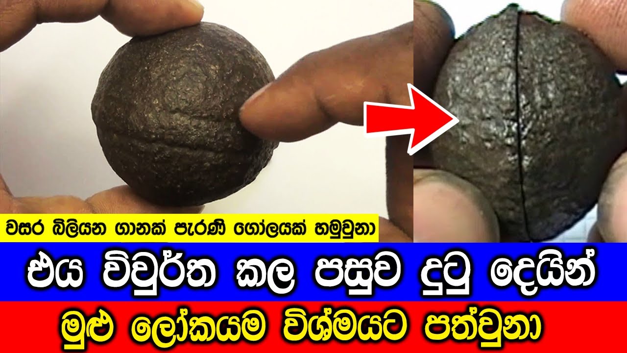විද්‍යාඥයින් නිරුත්තර කල පෞරාණික සොයාගැනීම් 5ක්.