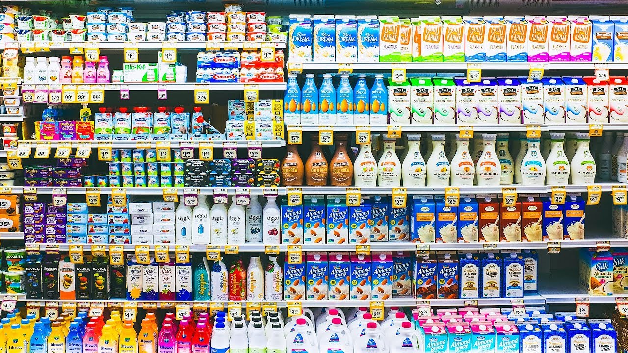 Is Dairy Healthy | Why Is It Bad For You 💙