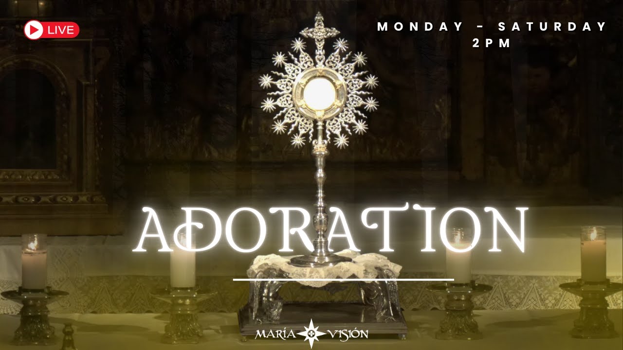 LIVE Adoration to the King of Kings | 11.02.2026