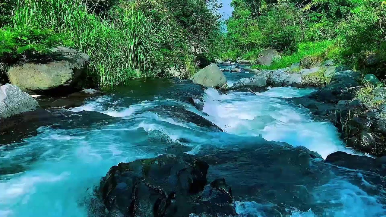 Forest River Continuous Flow, Mountain Stream Audio, Sleep