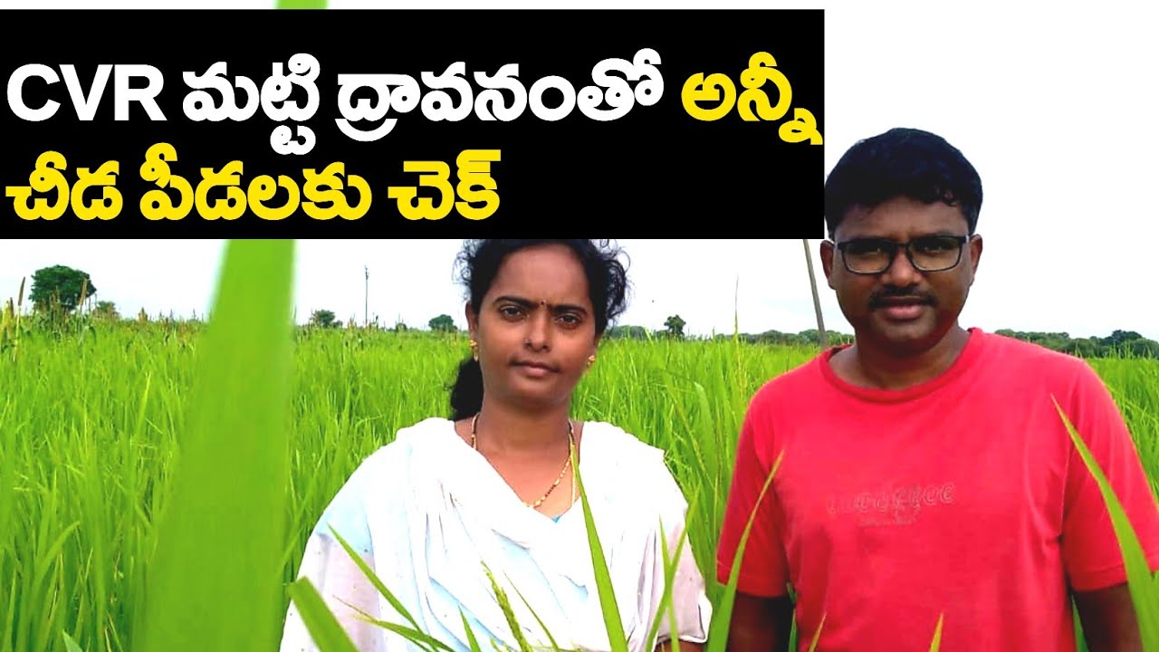 Cvr Method||Soil Spray||Natural Farming||Orgonic Farming||Matti Dhraavanam Thayarividhaanamu.