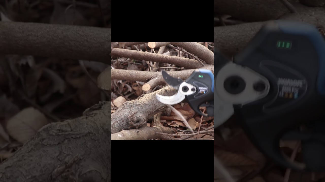 Professional 40mm Electric Pruner !Trim branches easily！【SW-8605pro】#electric pruning shears