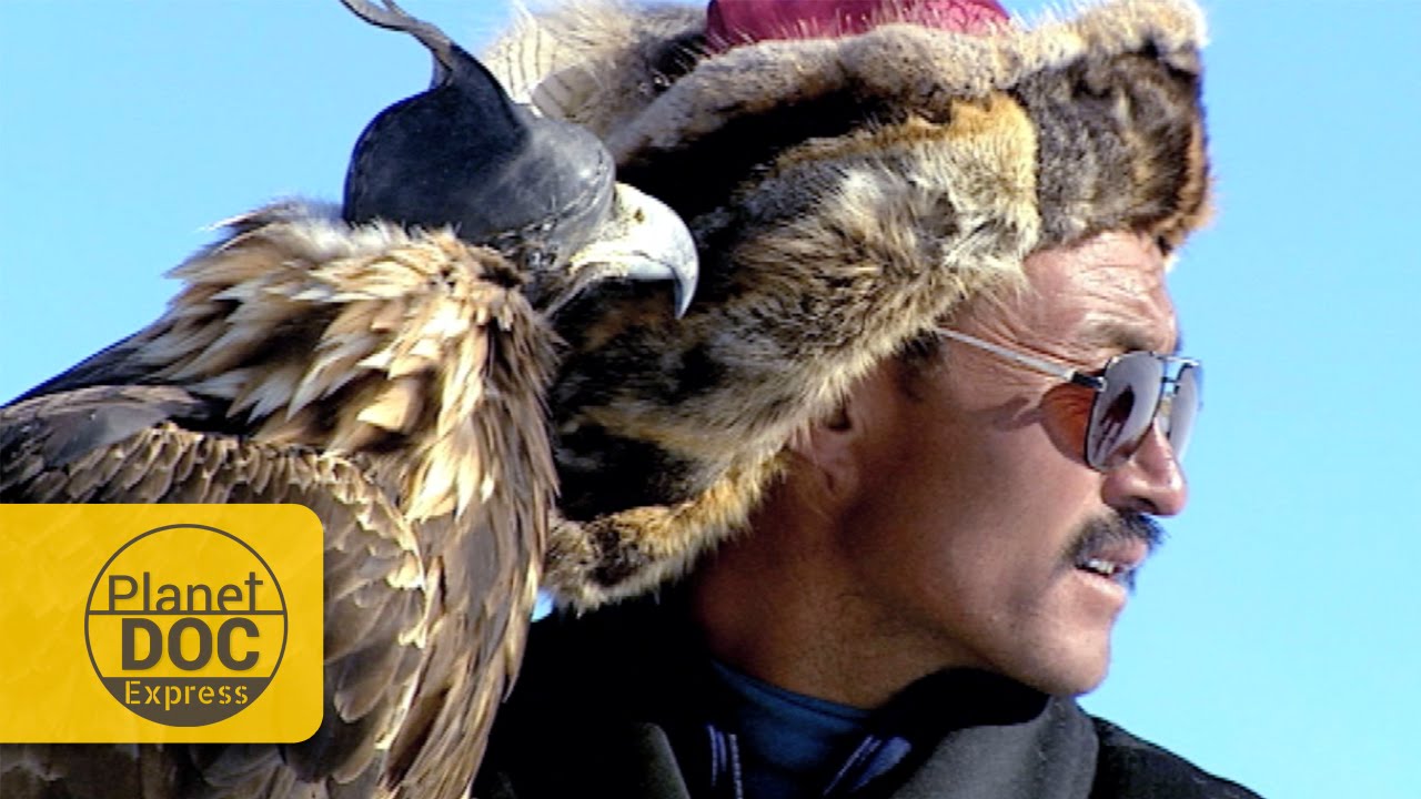 Aguilas Cazando. Mongolia | Planet Doc Express