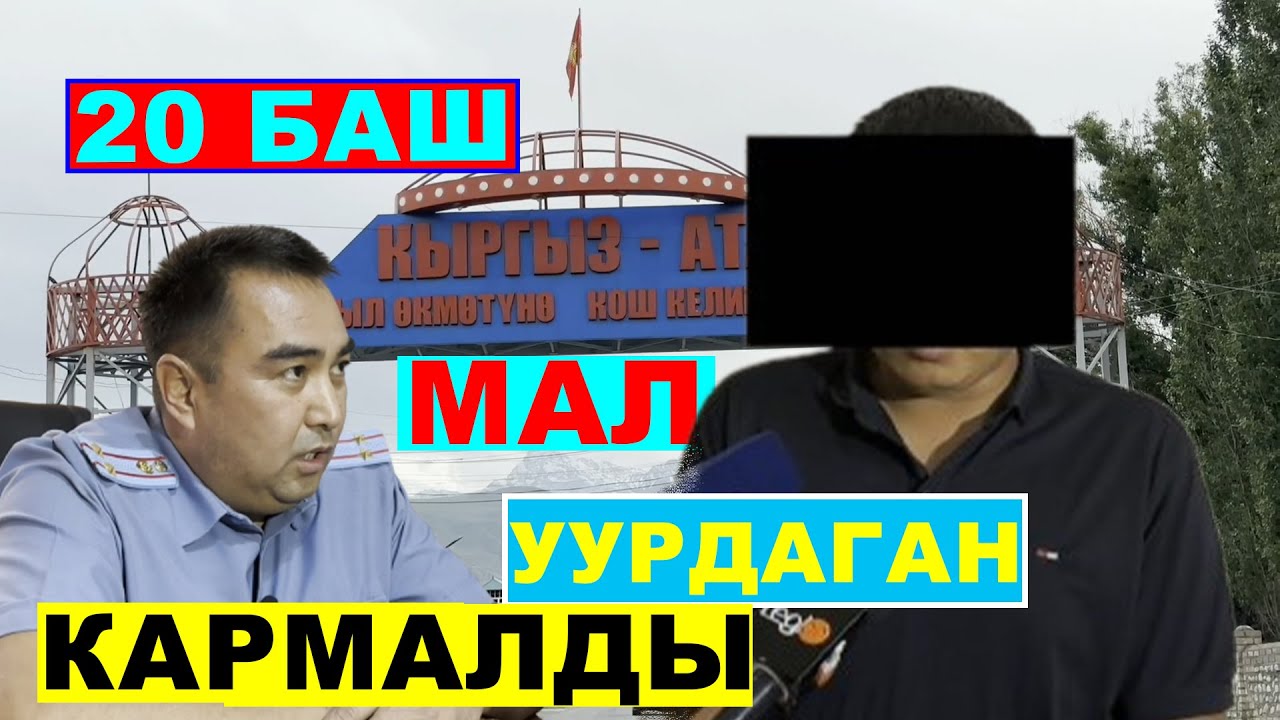 Мына Ноокатта өтө көп мал уурдаган ууру кармалды. Малынарды барып өндүрүп алгыла