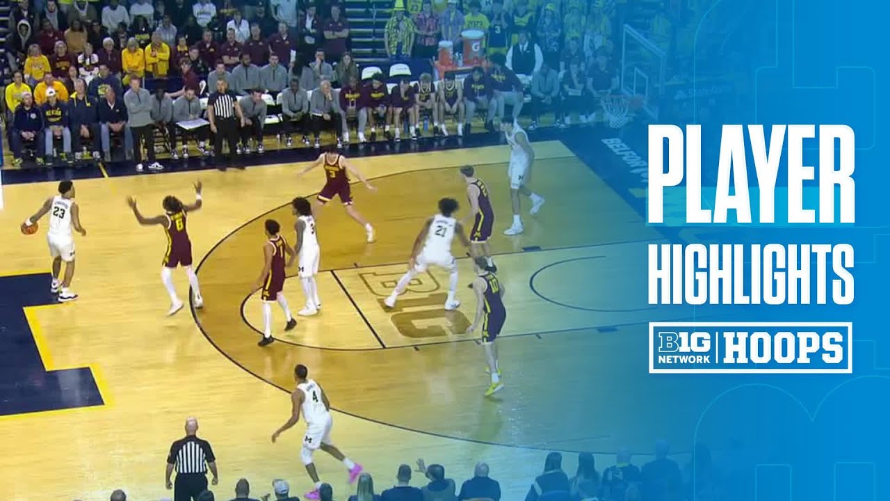 Elliot Cadeau Highlights vs. Minnesota | Michigan Basketball | 02/24/2026