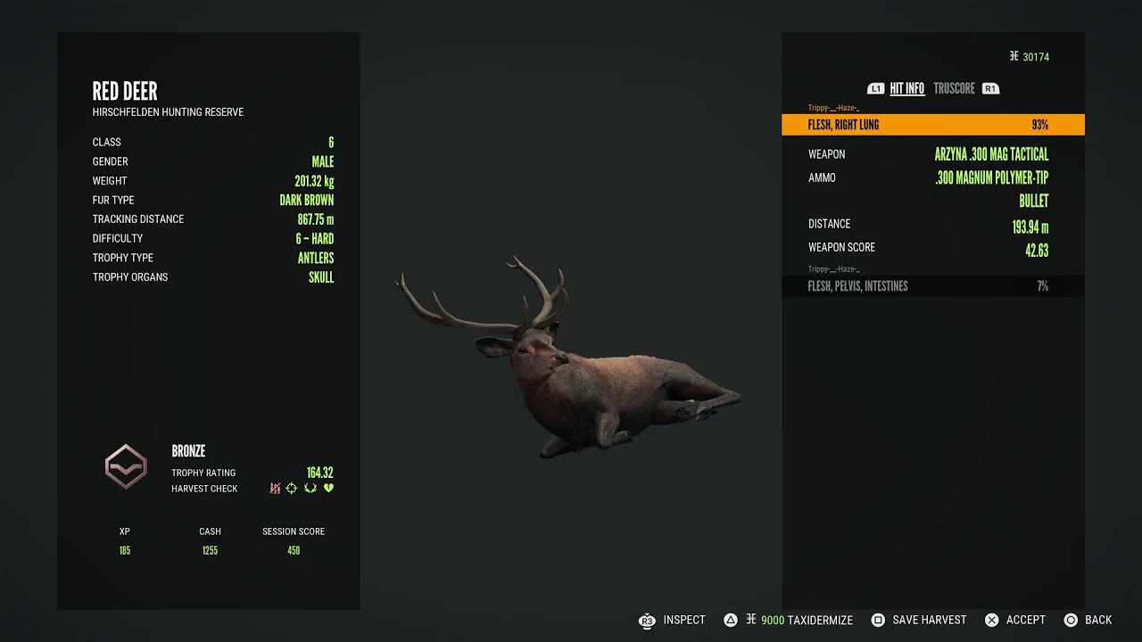 The Hunter: Call of The Wild