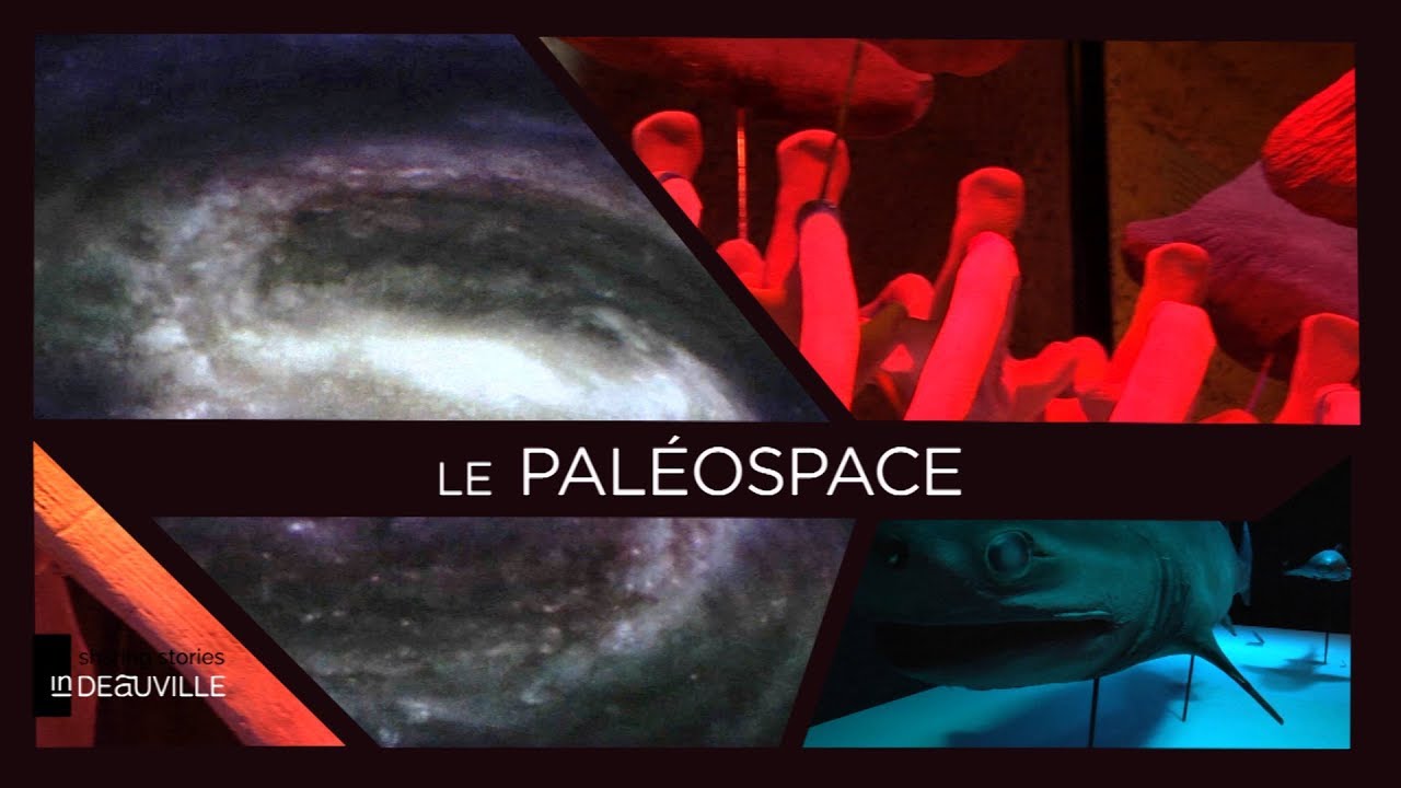 EN FAMILLE - Au Paléospace de Villers-sur-mer