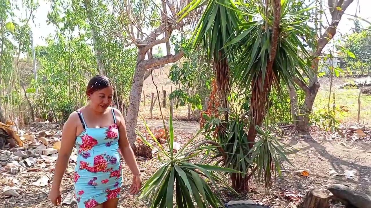 Atractiva Sv