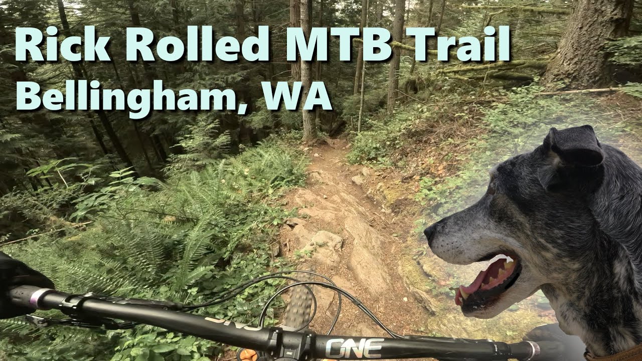 Blanchard Mountain MTB - Rick Rolled and Lilly Lizard - Bellingham, WA