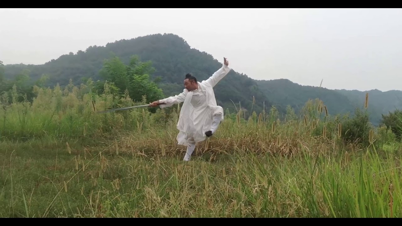 Wudang Dan sword------（武当丹剑许微含）
