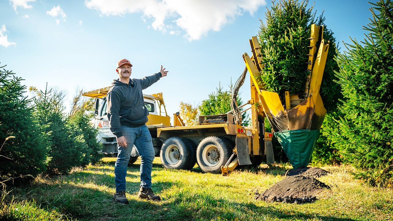 Moving 500 Trees In One Year | The Process | Big John 65