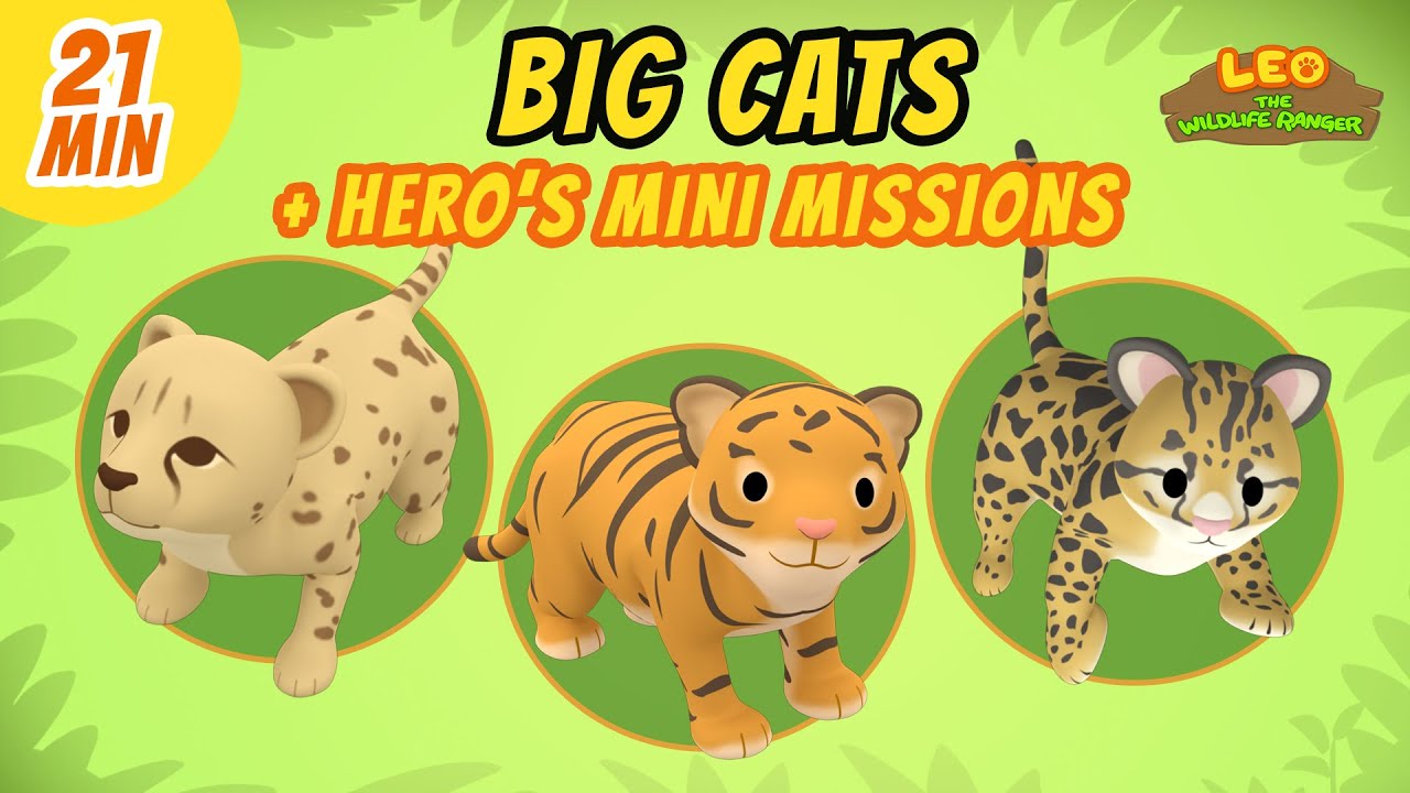 Big Cats - Junior Rangers and Hero's Animals Adventure | Leo the Wildlife Ranger | Kids Cartoons