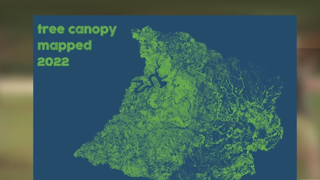How cool are trees? Austin tree canopy is growing