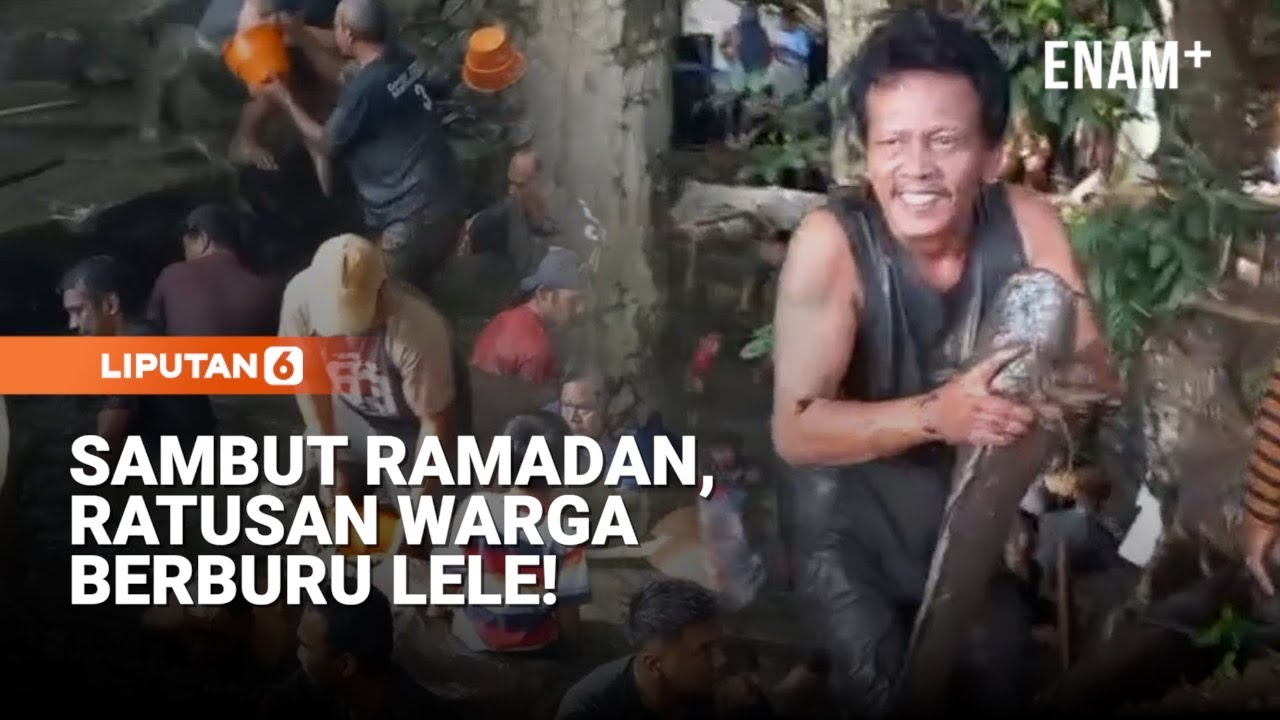 Tradisi Sambut Ramadan, Warga Berburu Lele Dan Makan Bareng | Liputan6