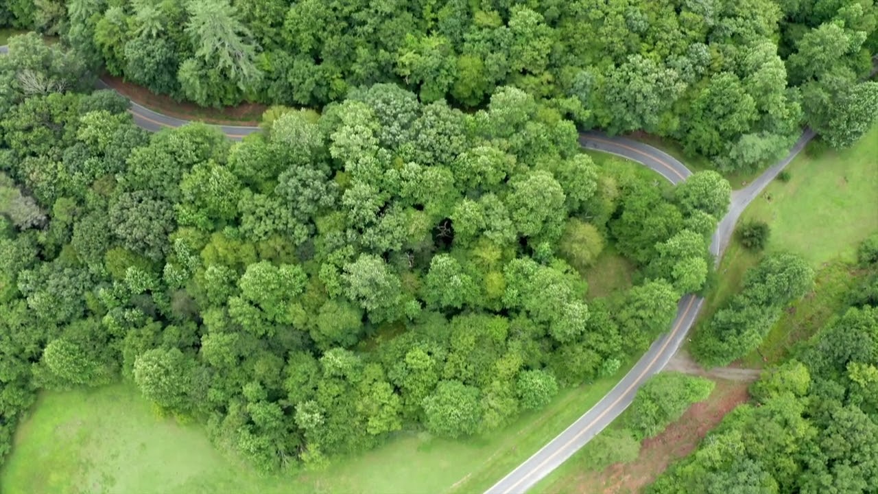 A Large Tract of NC Mountain Acreage:00 Pine Log Church Road Brasstown, NC