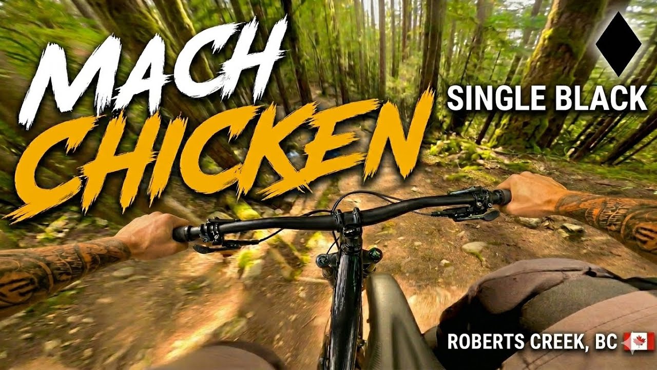 Mach Chicken | Single Black | Roberts Creek, BC 