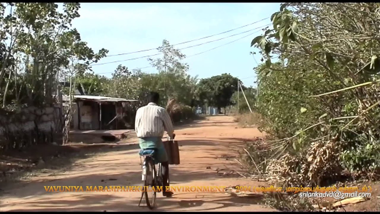 Sri Lanka: Vavuniya Marampaikkulam environment 2004 - வவுனியா, மாறம்பைக்குளம்,அலப்பத்தாக்குலம்