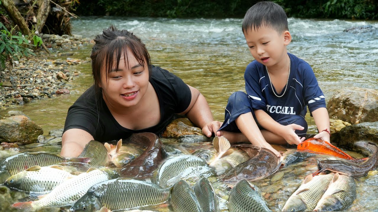 We Discovered a Massive School of Wild Fish in a Hidden Mountain Stream | Catch & Cooking