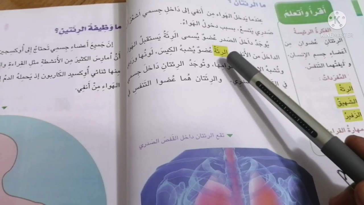 الرئتان درس العلوم للصف الثاني الابتدائي