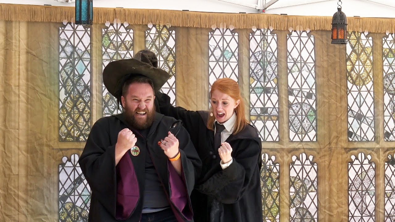 2016 SORTING HAT - Houses - Gryffindor Hufflepuff Ravenclaw Slytherin - Celebration Of Harry Potter