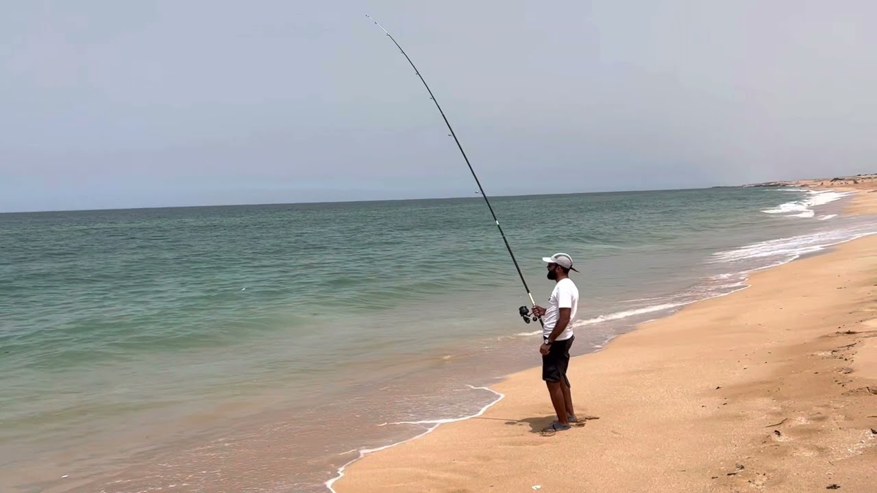 Daurade royale plage el Oualidia, Gilthead fishing in Morocco