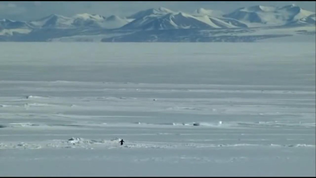 Existential Crisis of A Penguin - Call of the Mountain - 10 Hours