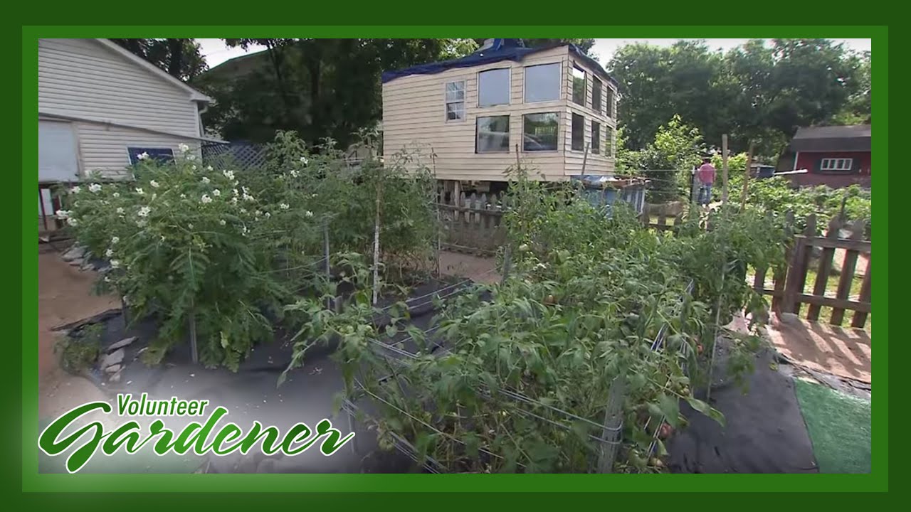 Market Gardening on a Dime | Volunteer Gardener