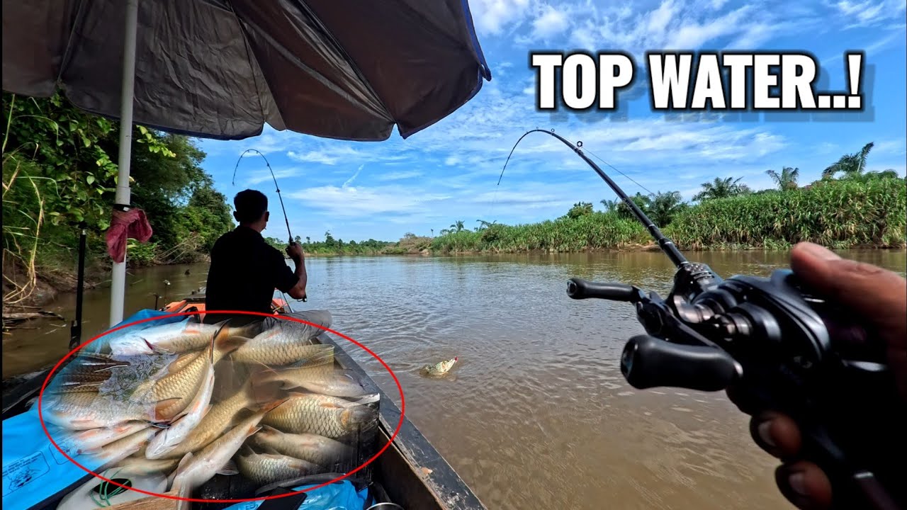 Top water...! KAMPUNG IKAN HAMPALA..! PESTA STRIKE SIAPA SAJA BAKAL DAPAT BANYAK MANCING DI SPOT INI