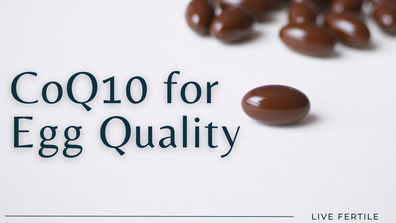 Supporting Egg Quality with CoQ10 @Theralogix