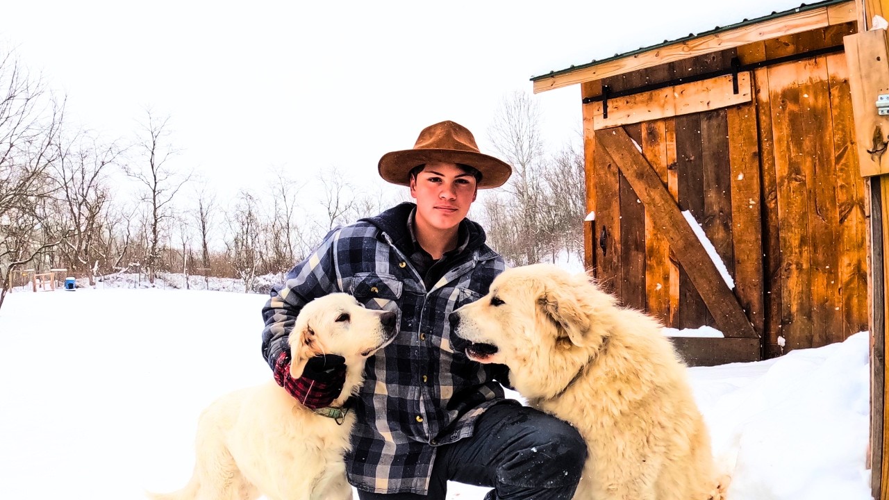 Taking Care of a Homestead in Winter at 15 Years Old (-10°C)
