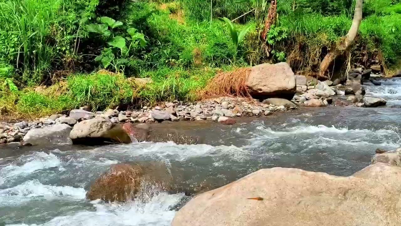 1 Hour Relaxing Beautiful Flowing River Water Sounds to Calm the Mind, Deep Sleep, and Meditation