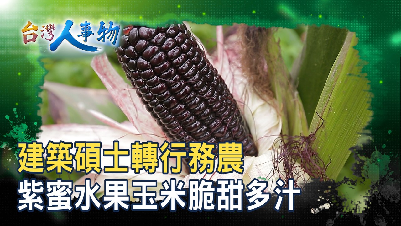型農的“紫色田園夢”｜囍朶農創-樂紫｜【台灣人事物】2026.03.07