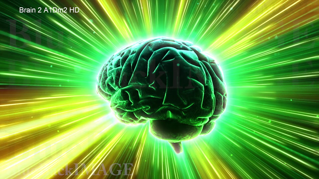 Brain anatomy human body idea mind concept mental Brain 2 A1Dm2 HD