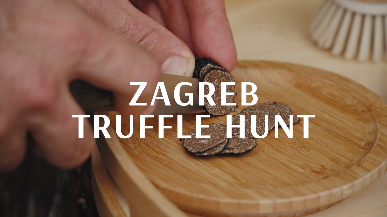 Zagreb Truffle Hunt - AROUND ZAGREB