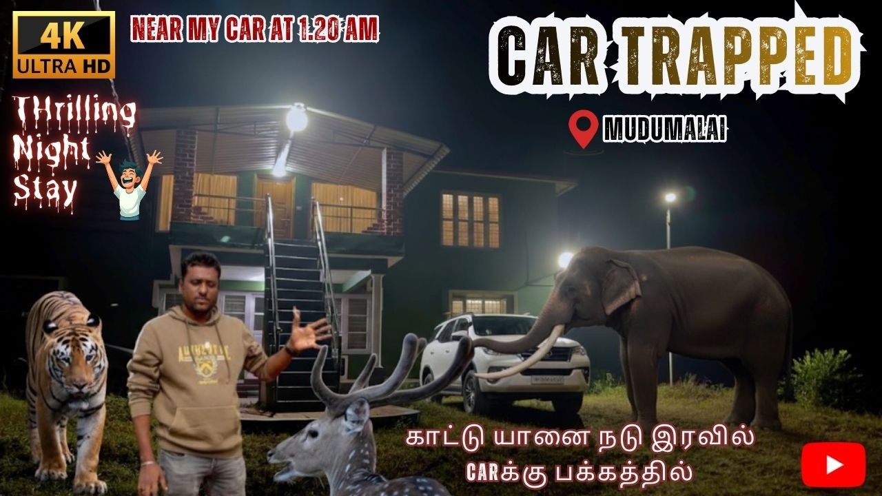 🔥🐘காட்டு யானை நடு இரவில் Carக்கு பக்கத்தில் @SimbaaVlogs