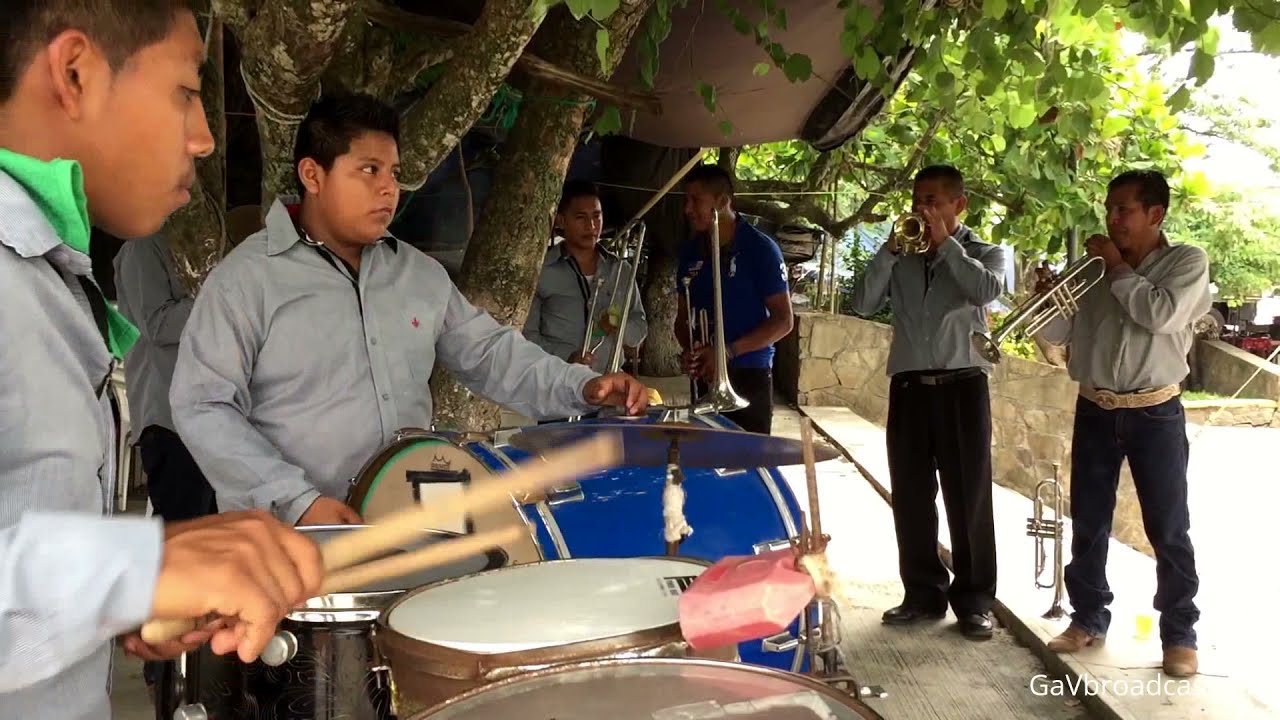 Cumbias con Banda de Viento - La Abeja Miope y El Coco Rayado