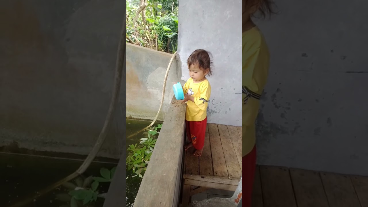 bocil ngasih makan ikan #baby #bulesunda