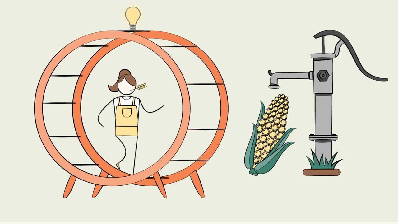 Обзор индустрии программного обеспечения: как работает программное обеспечение