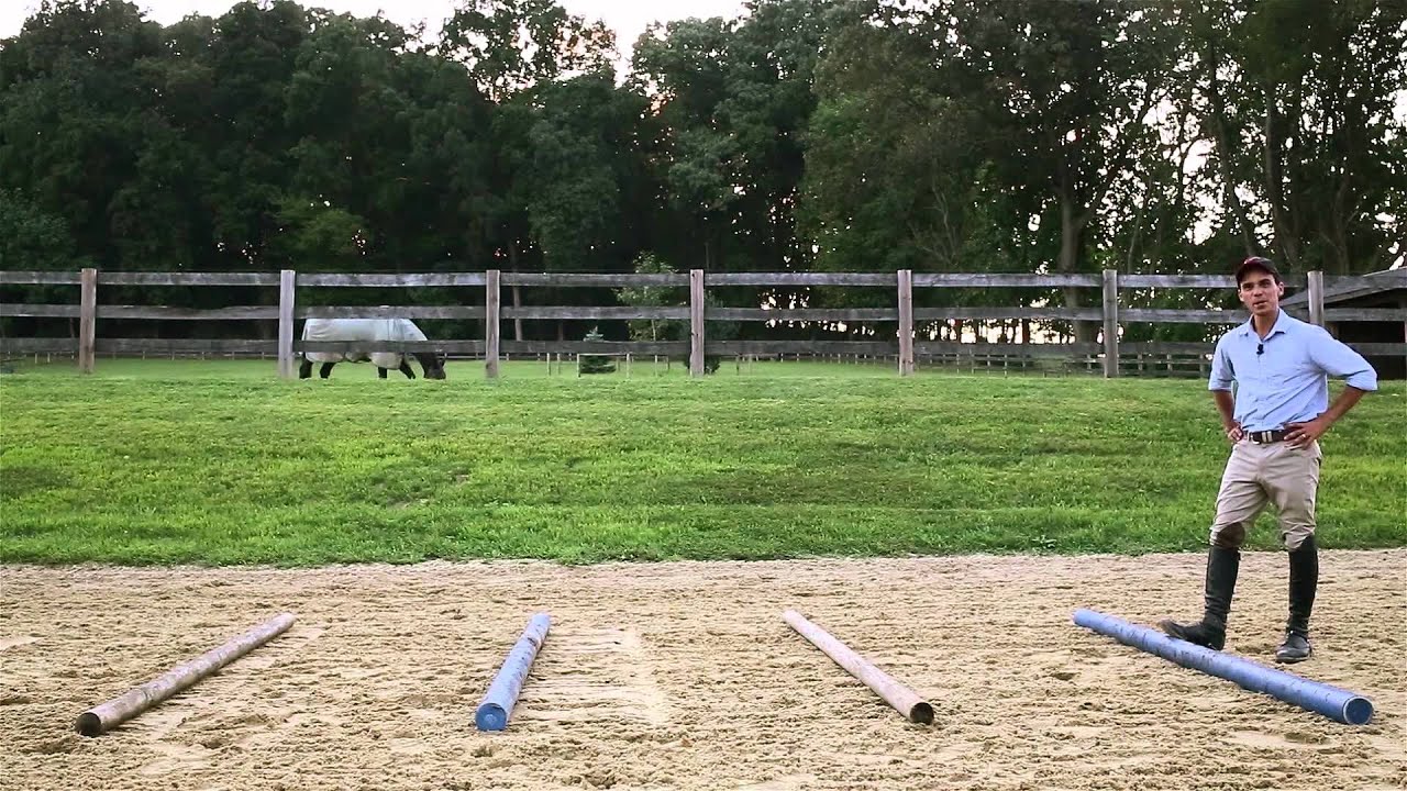 A Simple Three Part Gymnastics Exercise: For Your Horse...
