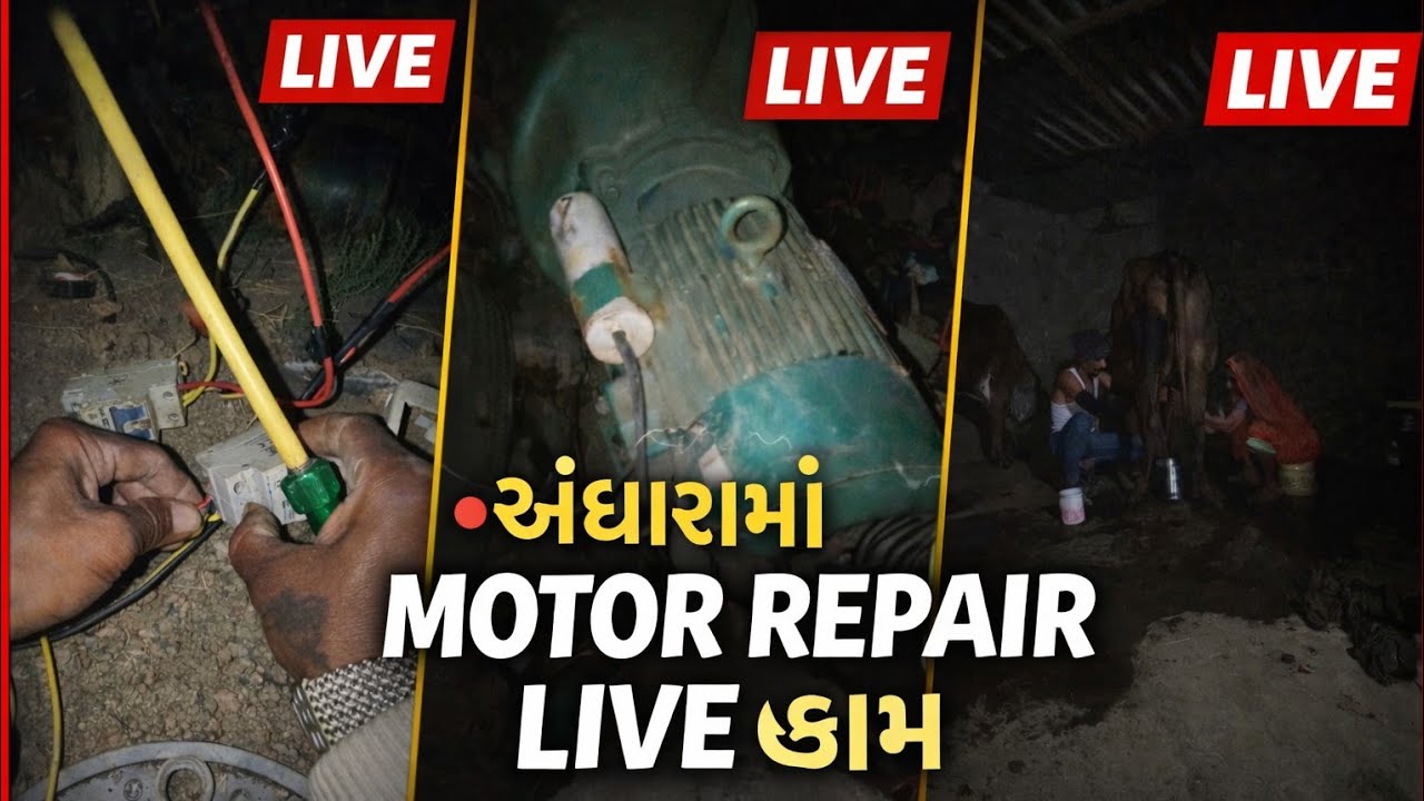 ડાંગર 🌾 નું ધરૂ ઉપાડવાનું કામ |પાર્ટ 2 Water Motor Repairing | Farmer Life in Village | Khedut Vlog