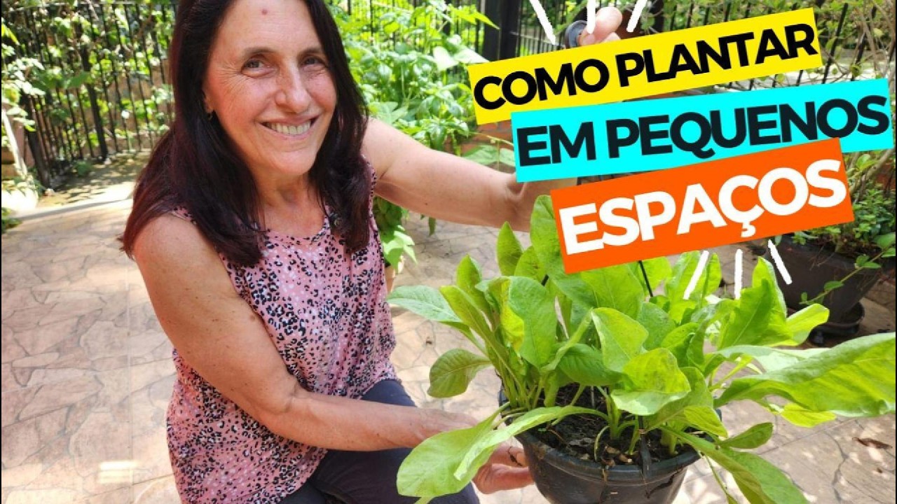 COMO PLANTAR EM PEQUENOS ESPAÇOS - Tem um vaso sobrando aí?