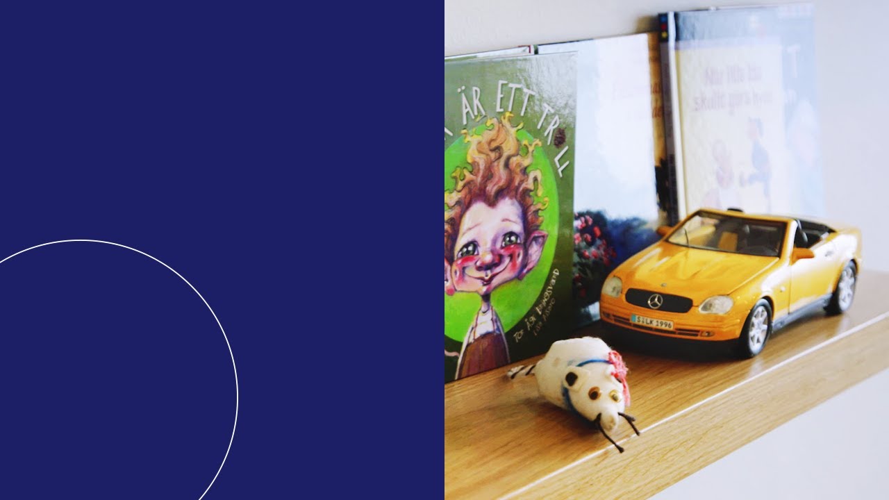 Barnets bästa i fokus - en film om vårdnadstvist