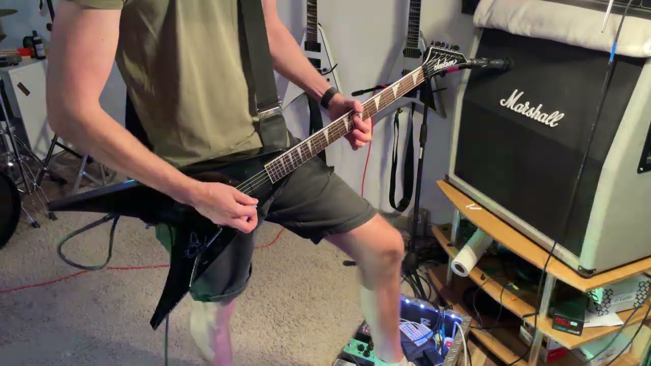 Eat The Day - Nutooupa (Guitar Cover)