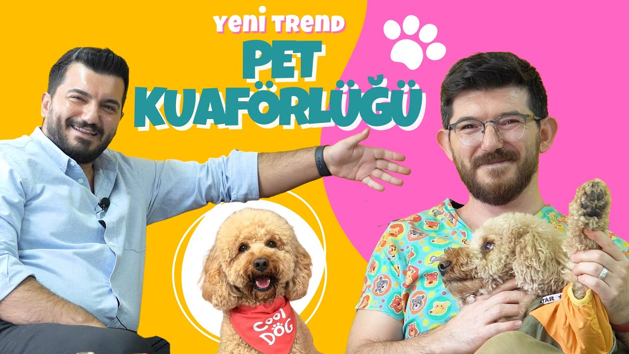 Yeni Trend! Nasıl Pet Kuaförü Olunur? Ne Kadar Kazanıyorlar?